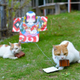 Image for article titled Cats Are the Cutest Guides to Japan